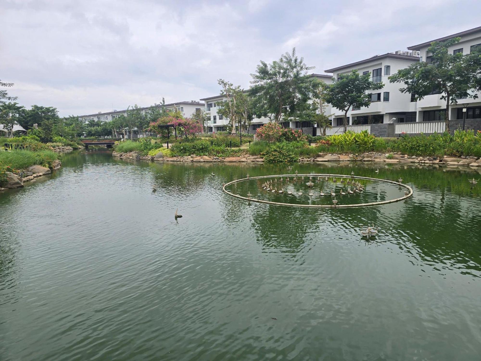 Zozo House - Homestay Bai Sau Vung Tau Exterior foto